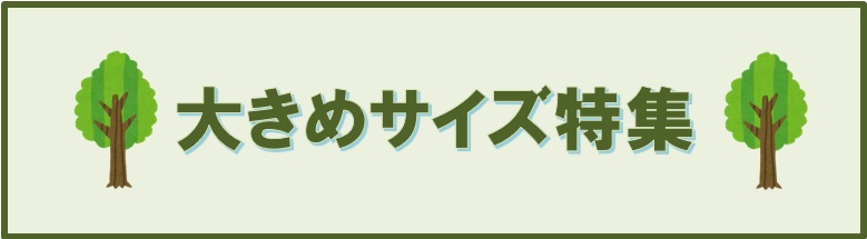 大きめサイズ特集はこちらから